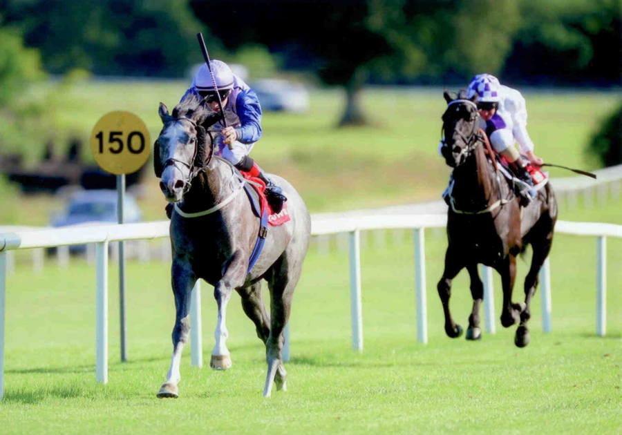 Angel of Joy Gowran Park Tues 1st July